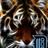 kentoney1's profile image