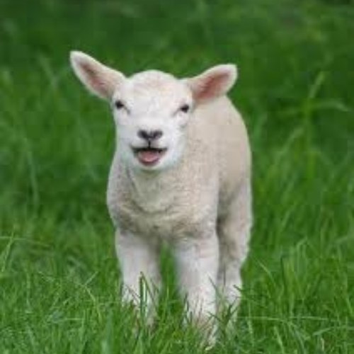 therealgersty's profile picture. 