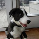 Michael Claffey - @michaelpclaffey - Twitter