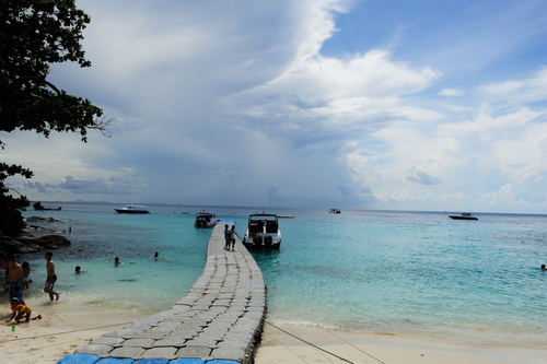 kds0305's profile picture. sales manager in yupoong, inc