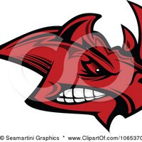 CHS Class Of 2014 (@red_rhinos2014) 's Twitter Profile