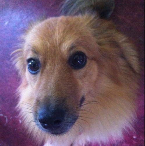 Roadbear05's profile picture. 