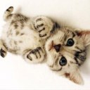 Hong Kwon Pyo - @last_concert - Twitter