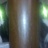 vituia's profile image