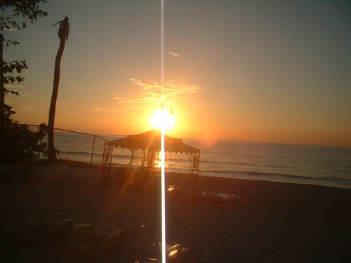 wwwmlewis's profile picture. 