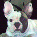 French Bulldogs LA (@french_bulldogs) Twitter profile photo French Bulldogs LA (@french_bulldogs) Twitter profile photo