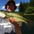 BrianMacak's profile image