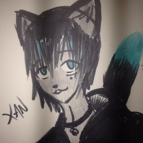 XanCat13's profile picture. Meow meow meow meow.