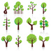 Vivero Forestal T.V. (@forestaltree) Twitter profile photo