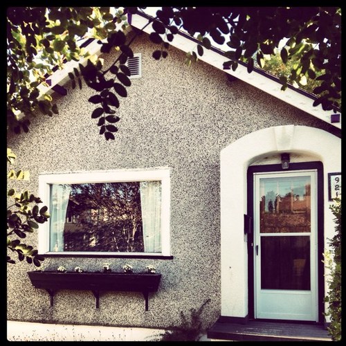 yawnek's profile picture. 