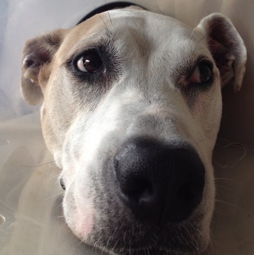 andersfolger's profile picture. 