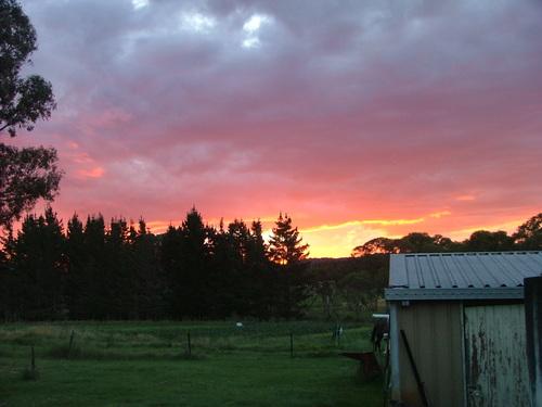 Heavy Rock Farm, Certified A Grade Farm,
wwoof hosts