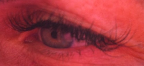 mariellevis's profile picture. 