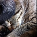 Sandra Barends - @SandraBarends - Twitter