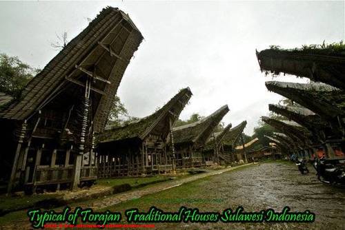 Dear. Travelling,
Let's find your Holiday in Sulawesi, one of Fantastic Island in Indonesia. Visit me at :
http://t.co/5GY0o43x3B