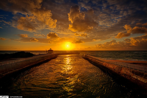 Michelle_Dee_'s profile picture. Nerdy, progressive, womanist, cis she/her, melanin challenged, LGBT, TAMU alum (English), USAF enlisted vet, INFJ South FL made me.