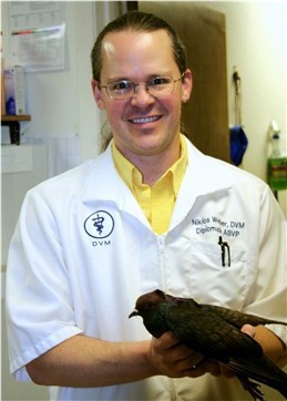 Veterinarian, DABVP. Owner of AAHA accredited veterinary hospital providing compassionate care for all companion animals including avian and exotic species.