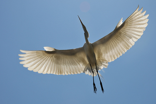 SanDiegoREnews's profile picture. 