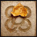 Raquel Pardo - @pardo_raquel - Twitter