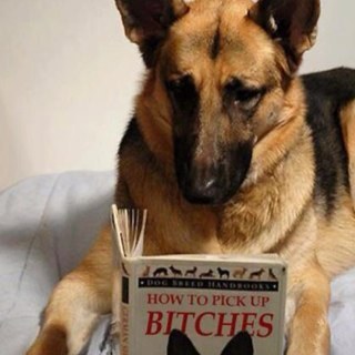 Mmurph57's profile picture. 