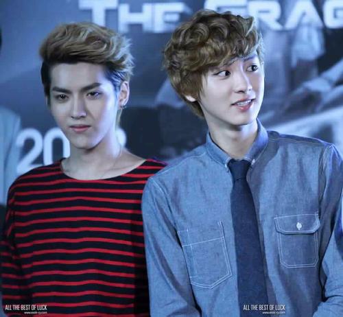 RolePlayer of Kris EXO M from @NoTime_RP || Paling kece di EXO || NT_ApinkEunji is mine ;) ||
