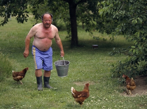 Just a Chicken Farmer Dude Raising Chickens and Building Coops