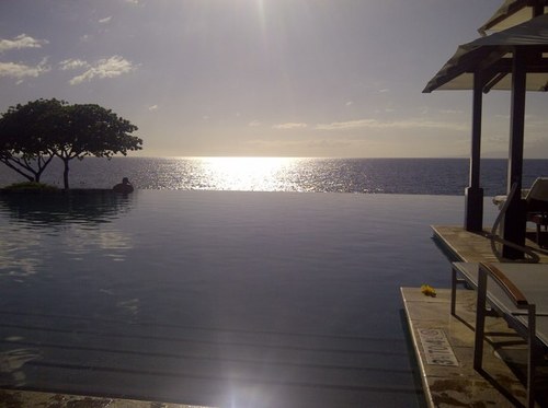 monicapinoj's profile picture. 