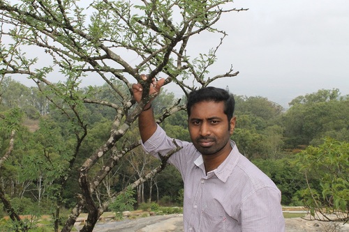 mrajasek's profile picture. 