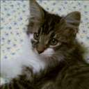 Ginger Long - @Ginger_Long - Twitter