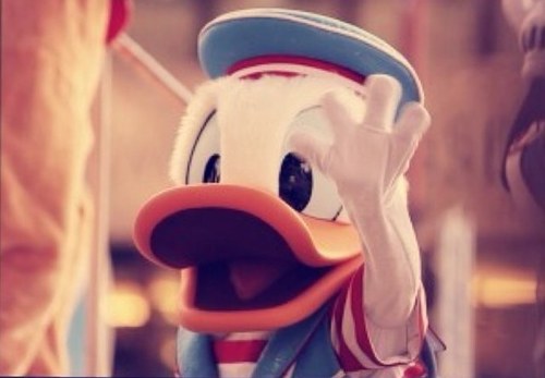 ldoe11's profile picture. 