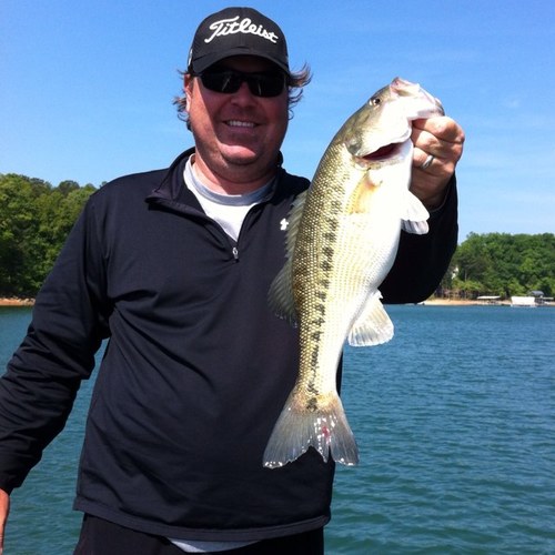 atldavidm's profile picture. 