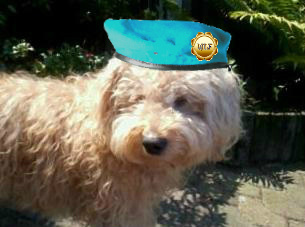 Jail account for Binky da Boomer. I iz married to da wonderful @didodekooiker and me iz a member of da #wlf #newdogs and #freecats