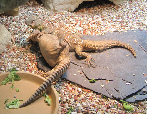 StanWalther's profile picture. 