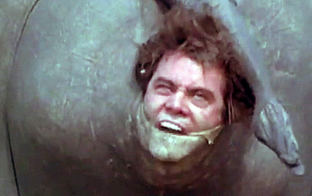 Butthole_Files's profile picture. I cum, U leave