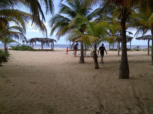 cocodeagua01's profile picture. #Posada frente a la #playa en #IstmoCaribe en #Bocadeuchire #Venezuelaemprendedora