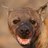LondonTaxiTouts's profile image