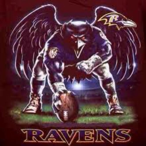Ravensfan543's profile picture. 