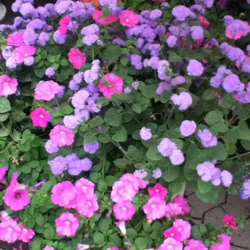 kss39993's profile picture. 안녕하세요 ^^ 고민거리나 상담하고 싶은 내용 있으신분들 저와 함께 나누어요 . 잘부탁드립니다 .