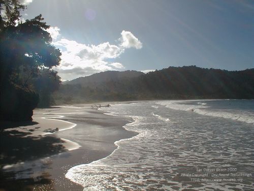 trinigirl022472's profile picture. 