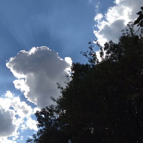 ScanlanPatrick's profile picture. 