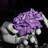 slowa9's profile image