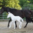 Larry Bockman - @larrybockman - Twitter