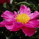 Barbara Collins - @Barb_collins_pm - Twitter