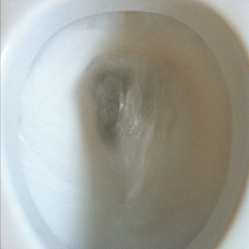 i_need_to_shit's profile picture. La mierda me domina la vida.. asique porque no hablarlo. Shit dominates my life ao why not talk about it