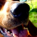 Dani Snyder - @SnyderDani - Twitter