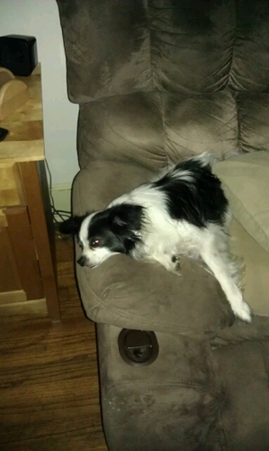 phil_opus's profile picture. 