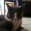 Sharon-Ebner Sifford - @EbnerSharon - Twitter