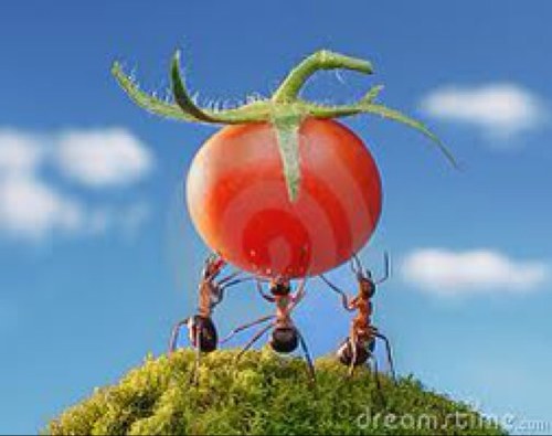 Ama1966's profile picture. 