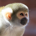 L Sauber (@aktiviteiten352) Twitter profile photo