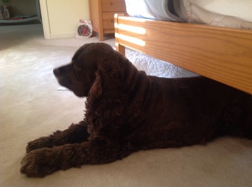 CSlyter's profile picture. 